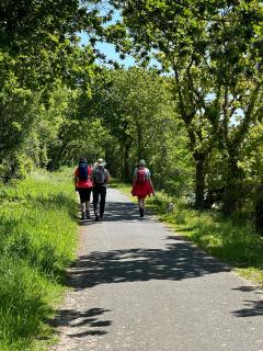 On the Tarka Trail - flat and mostly tarmac heading around the estuary of the River Taw